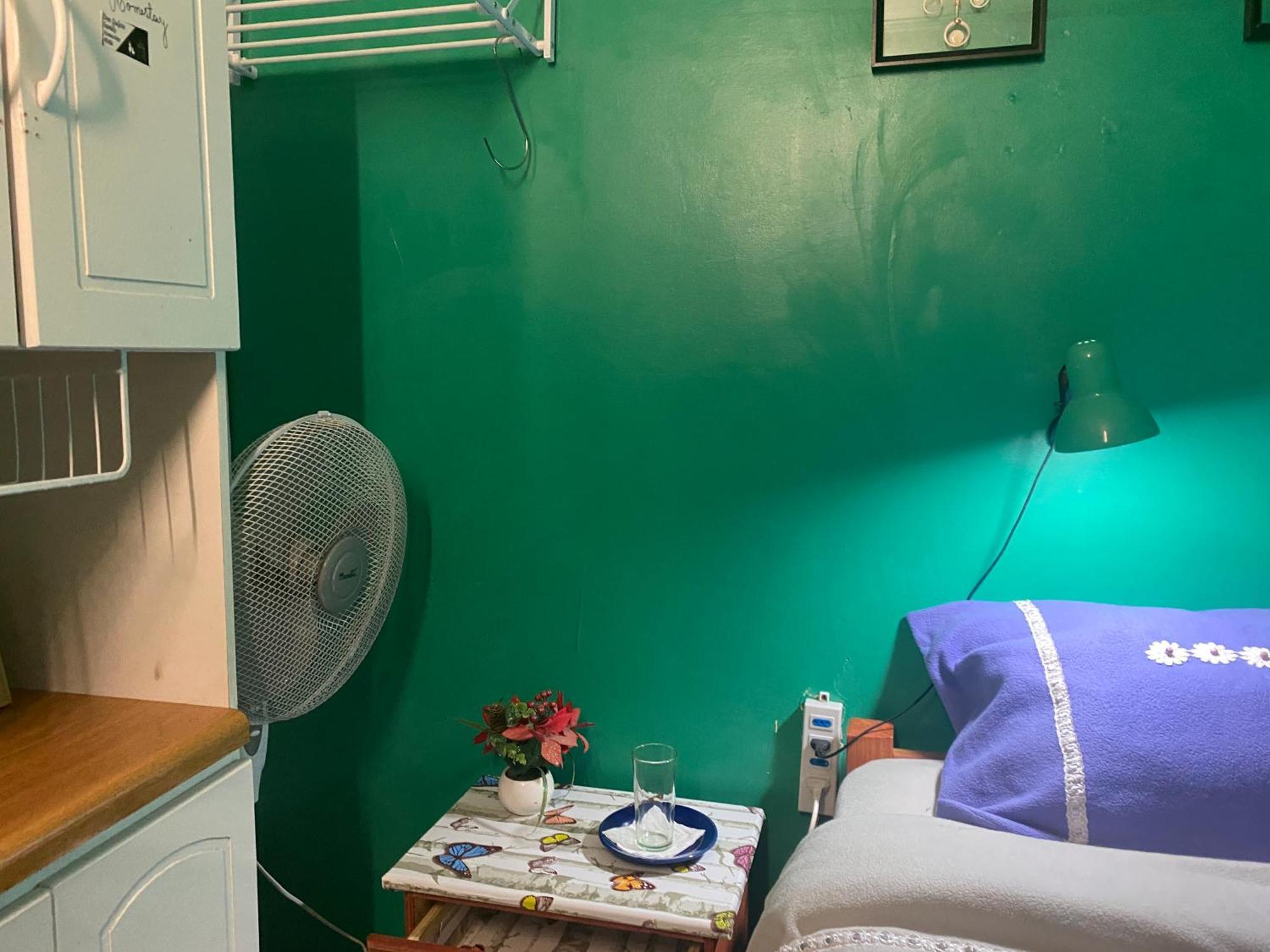 Don Quijote Family Homestay Santiago del Cile Esterno foto